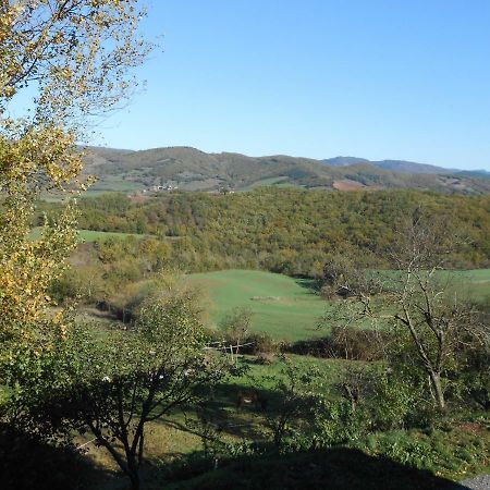 Chambre D'Hotes Des Monts Saint-Izaire Екстериор снимка